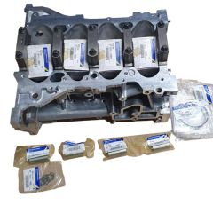 Блок двигуна Новий оригінал 2.0 16V 110107443R Renault
