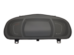 Лічильник Renault Scenic 4 248100254R 7734