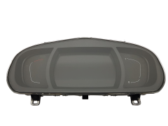 Лічильник Renault Scenic 4 248100665R B