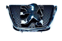 Емблема Інтерфейс Оригінал Peugeot 206 7810c5
