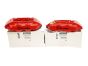 Гальмівні супорти Інтерфейс Renault Clio 3 RS 410118514R 410015432R Brembo