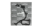 Прокладка Новий оригінал Renault Nissan 3.0 dCI 11072MA70B