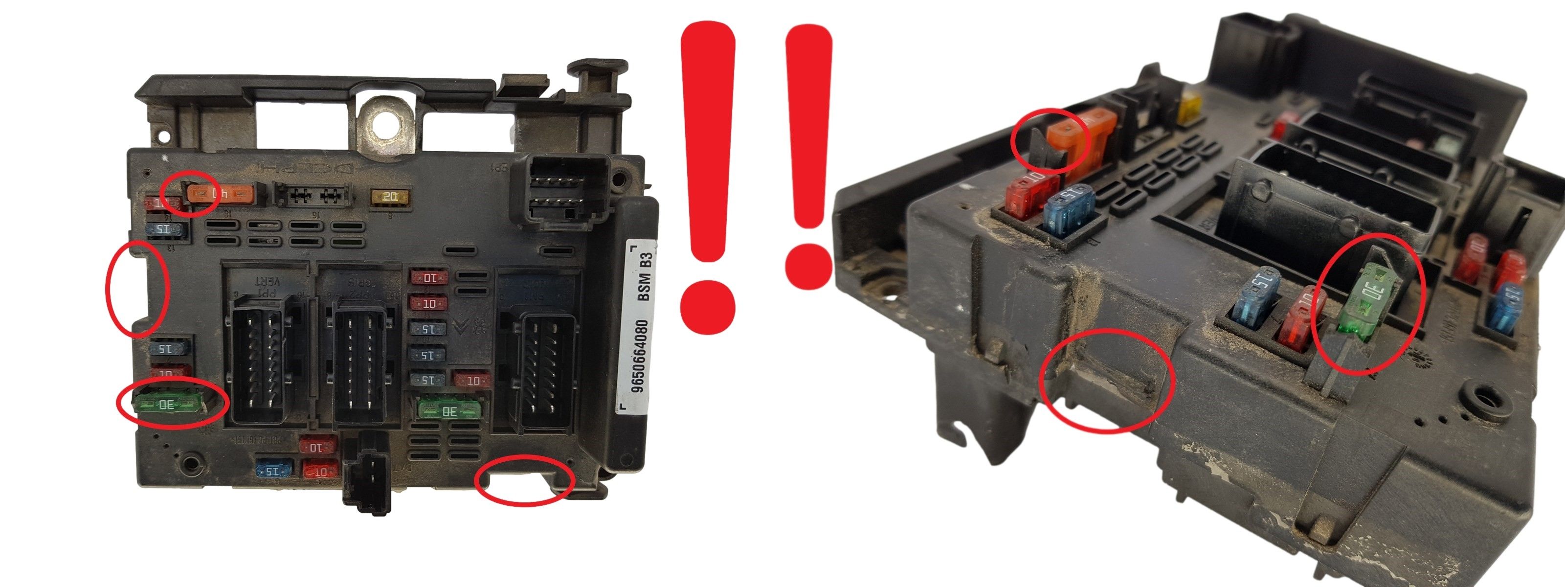 Водій BSM B3 9650664080 PSA Delphi 1310 main product photo